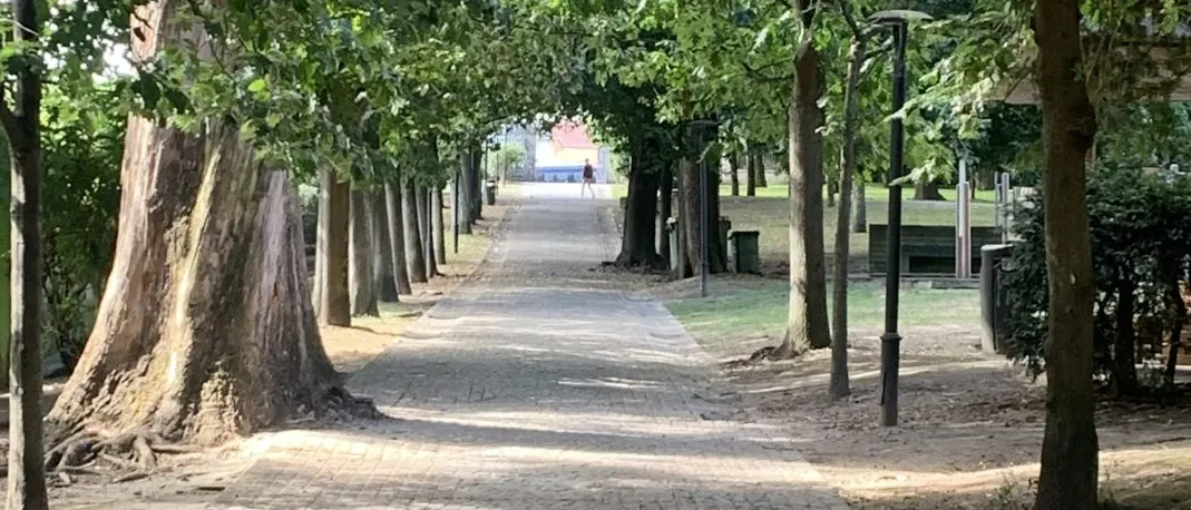 A wide stone-paved path through a city park under dense trees and dappled shade.
